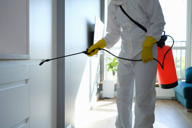 Best Residential Mold Removal  in Mead, WA