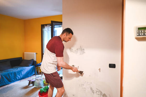 Best Home Mold Removal  in Mead, WA